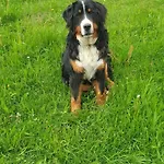 Biohof Obereibensteiner Kaltenberg