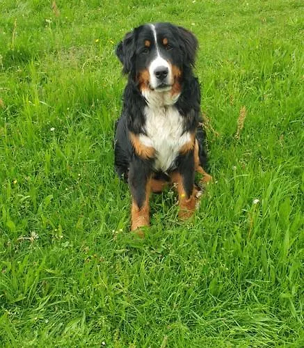 Biohof Obereibensteiner Kaltenberg