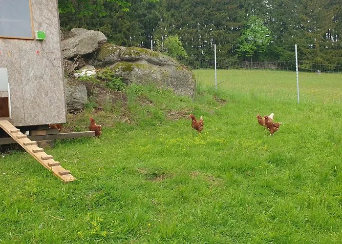 Biohof Obereibensteiner Kaltenberg