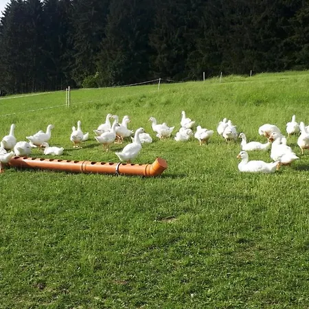 Biohof Obereibensteiner Kaltenberg