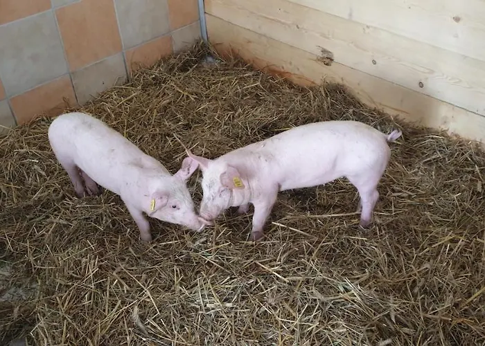 Biohof Obereibensteiner Apartamento