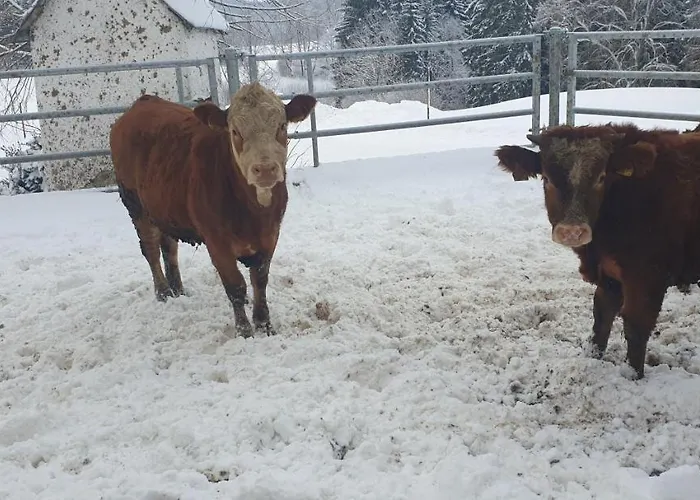 Biohof Obereibensteiner *