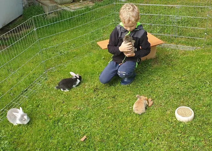 Apartamento Biohof Obereibensteiner